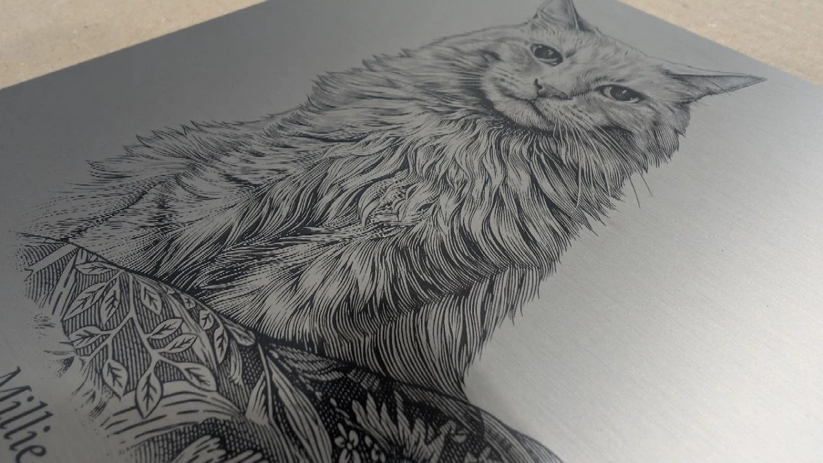 Close-up photograph of Millie’s cat portrait engraved in metal, showing fine fur lines and the brushed surface.