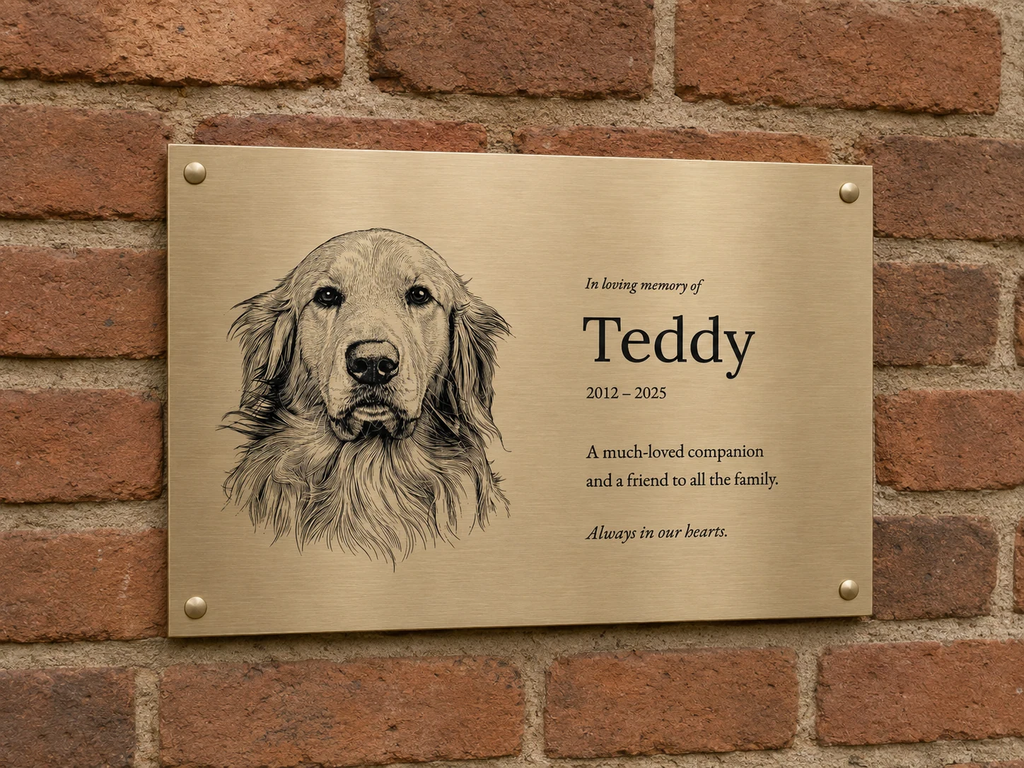 Golden retriever memorial plaque for Teddy, 2012–2025, in brushed brass with four brass screw caps, fixed to brick