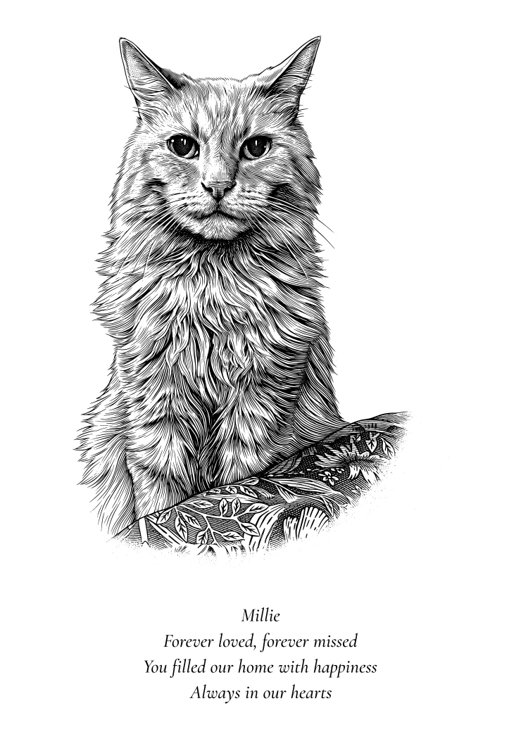 The matching line artwork for engraving